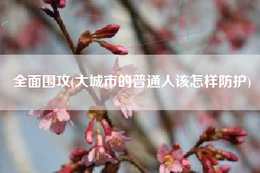 全面围攻(大城市的普通人该怎样防护)