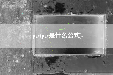 pgv(pgv是什么公式)