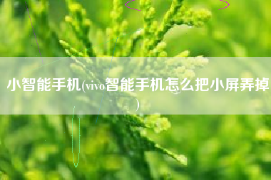 小智能手机(vivo智能手机怎么把小屏弄掉)