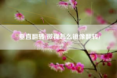 垂直翻转(微视怎么镜像翻转)