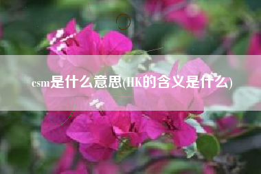 csm是什么意思(HK的含义是什么)