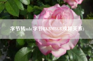 字节转mb(字节BKBMBGB换算关系)