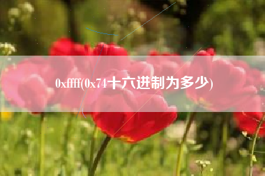 0xffff(0x74十六进制为多少)