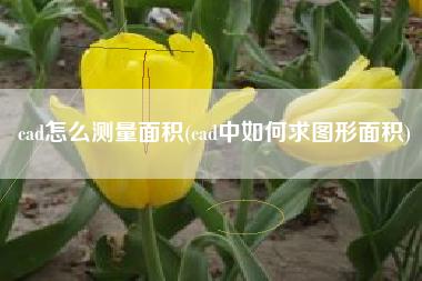 cad怎么测量面积(cad中如何求图形面积)