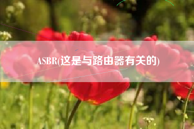 ASBR(这是与路由器有关的)