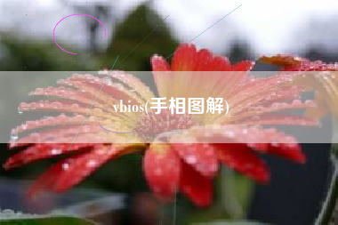 vbios(手相图解)