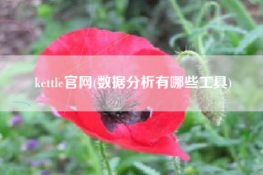 kettle官网(数据分析有哪些工具)
