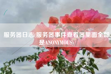 服务器日志(服务器事件查看器里面全部是ANONYMOUS)