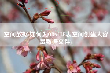 空间数据(如何为ORACLE表空间创建大容量数据文件)