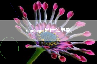 sepc(sepic是什么电路)