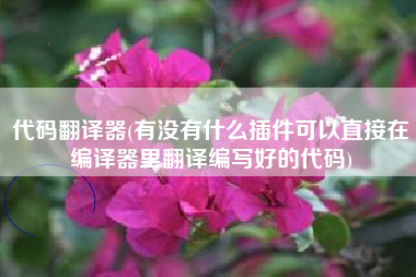 代码翻译器(有没有什么插件可以直接在编译器里翻译编写好的代码)