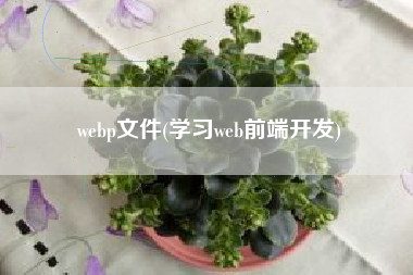 webp文件(学习web前端开发)