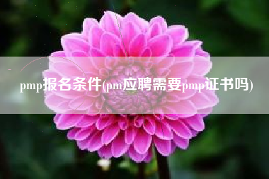 pmp报名条件(pm应聘需要pmp证书吗) pmp报名条件(pm应聘需要pmp证书吗)