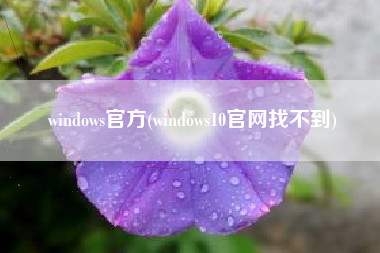 windows官方(windows10官网找不到) windows官方(windows10官网找不到)