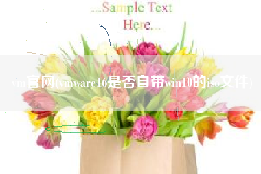 vm官网(vmware16是否自带win10的iso文件)