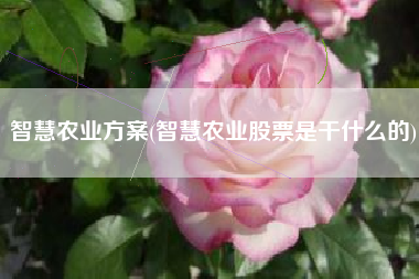 智慧农业方案(智慧农业股票是干什么的)