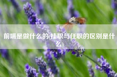 前端是做什么的(挂职与任职的区别是什么)