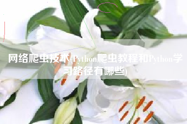 网络爬虫技术(Python爬虫教程和Python学习路径有哪些) 网络爬虫技术(Python爬虫教程和Python学习路径有哪些)