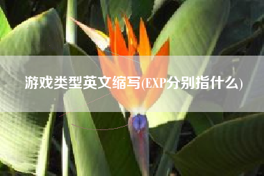 游戏类型英文缩写(EXP分别指什么)