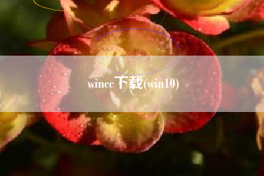 wincc下载(win10) wincc下载(win10)