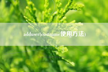 adduser(custname使用方法) adduser(custname使用方法)