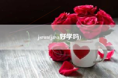 jsrun(java好学吗)