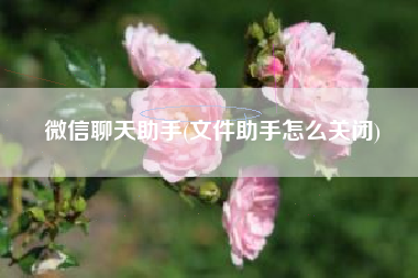 微信聊天助手(文件助手怎么关闭) 微信聊天助手(文件助手怎么关闭)