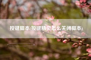 按键脚本(按键精灵怎么关闭脚本)