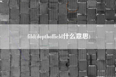 fild(depthoffield什么意思)