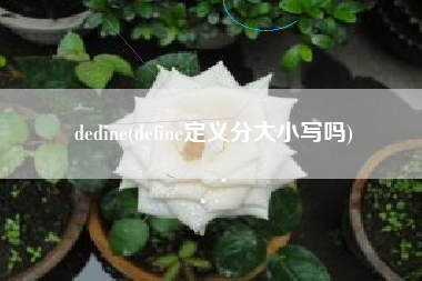 dedine(define定义分大小写吗)