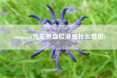campass(汽车罗盘校准是什么意思)