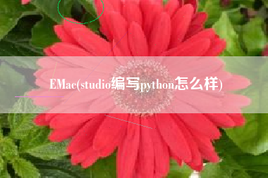 EMac(studio编写python怎么样)