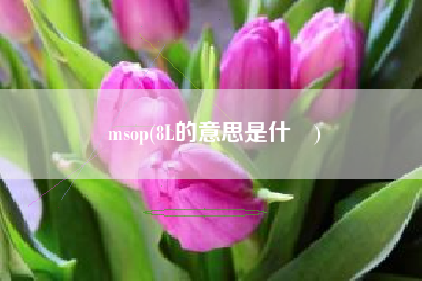 msop(8L的意思是什麼) msop(8L的意思是什麼)