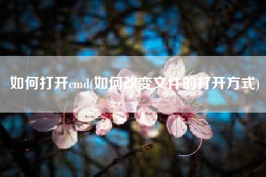 如何打开cmd(如何改变文件的打开方式)