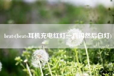 brats(beats耳机充电红灯一直闪然后白灯)