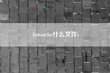 fortan(for什么文件)