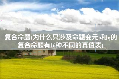 复合命题(为什么只涉及命题变元p和q的复合命题有16种不同的真值表)