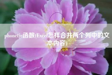 phonetic函数(Excel怎样合并两个列中的文本内容)