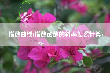 指数曲线(指数函数的斜率怎么计算)