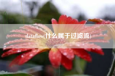 dataflow(什么属于过滤流)