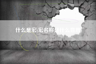 什么是宏(宏名称是什么意思)