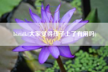 biztalk(大家觉得孩子上了有用吗)