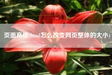 页面高度(html怎么改变网页整体的大小)