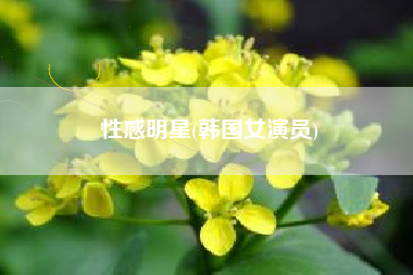 性感明星(韩国女演员)
