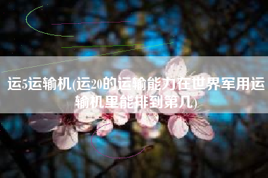 运5运输机(运20的运输能力在世界军用运输机里能排到第几)