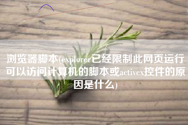 浏览器脚本(explorer已经限制此网页运行可以访问计算机的脚本或activex控件的原因是什么)