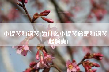 小提琴和钢琴(为什么小提琴总是和钢琴一起演奏)