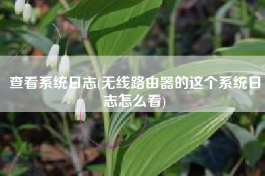 查看系统日志(无线路由器的这个系统日志怎么看)
