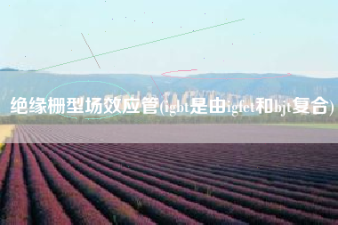 绝缘栅型场效应管(igbt是由igfet和bjt复合)