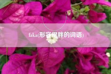 faka(形容很胖的词语)